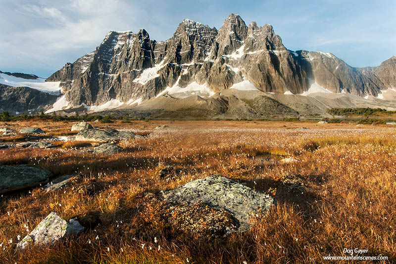 Image of The Ramparts above Tonquin Valley