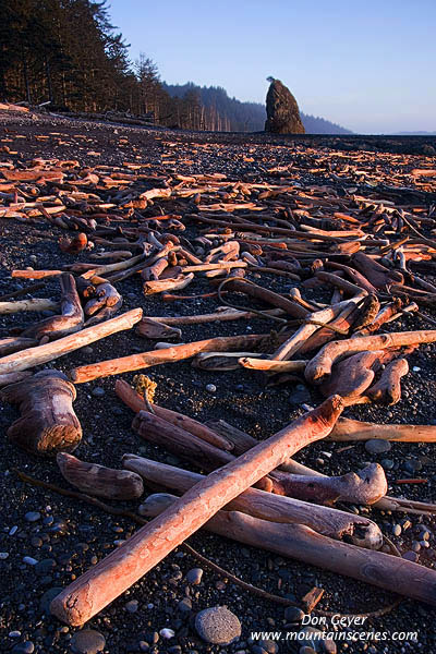 Image of Rialto Beach