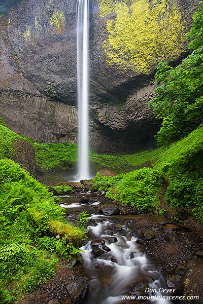 Image of Latourell Falls