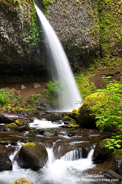 Image of Ponytail Falls