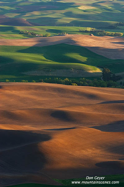 Image of The Palouse