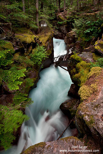 Image of Avalanche Gorge