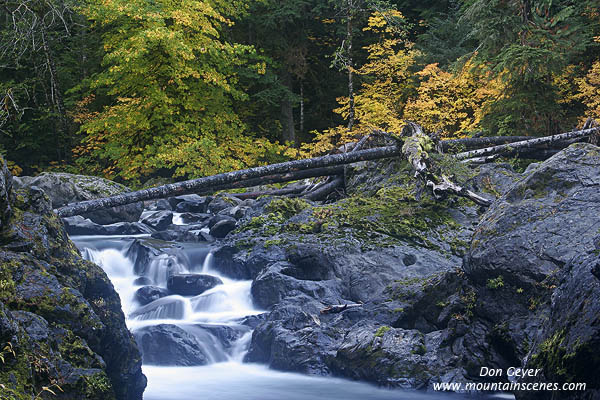 Image of Sol Duc River in Fall