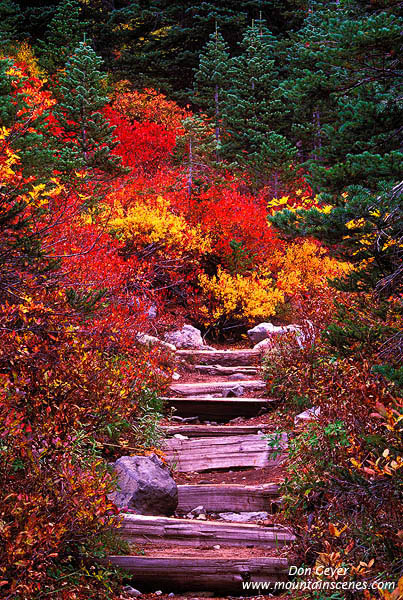 Image of Fall Colors along The Lakes Trail