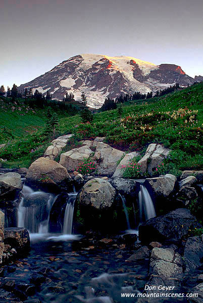 Image of Mount Rainier above Edith Creek