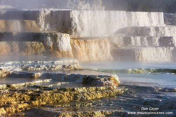Image of Canary Spring and steam, Mamoth Hot Springs, Yellowstone National Park.