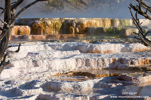 Image of Canary Spring, Main Terrace, Mamoth Hot Springs, Yellowstone National Park.