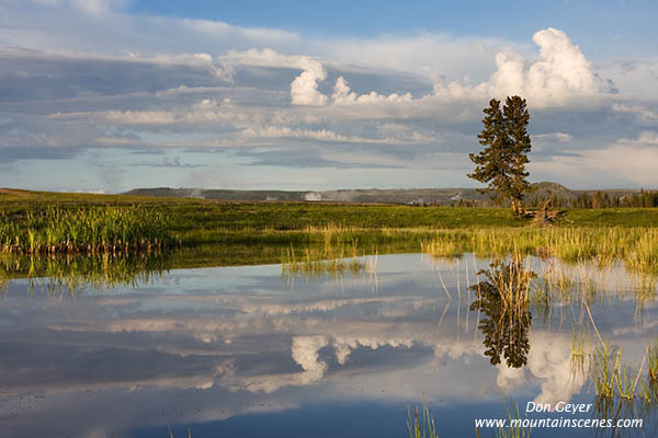 Image of Fountain Flat reflection, Yellowstone National Park.