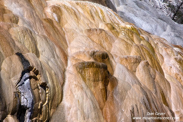 Image of Palette Spring, Mamoth Hot Springs, Yellowstone National Park.