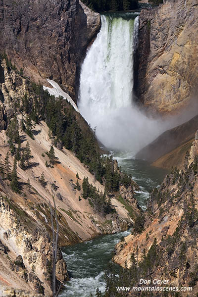 Image of Lower Falls, Grand Canyon of the Yellowstone, Yellowstone National Park.