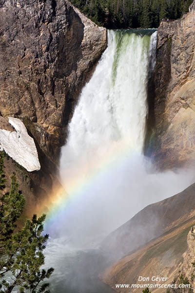 Image of Lower Falls and rainbow, Grand Canyon of the Yellowstone, Yellowstone National Park.