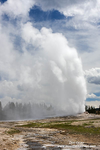 Image of Old Faithful erupting, Yellowstone National Park.