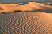 Image of Mesquite Sand Dunes at sunrise, Death Valley