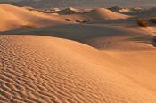 Image of Mesquite Sand Dunes at Sunrise, Death Valley