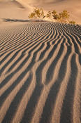 Image of Mesquite Sand Dunes, Death Valley