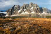 Image of The Ramparts above Tonquin Valley