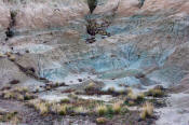 Image of Blue Basin, Sheep Rock Complex, John Day