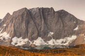 Image of Rockwall above Floe Lake and fall larches