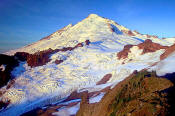 Image of Mount Baker from Ptarmigan Ridge, North Cascades