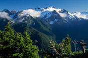Image of Mount Olympus from Bailey Range, Olympic National Park.