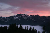 Image of pink clouds over Mount Olympus from Skyline, Olympic National Park