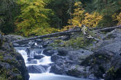 Image of Elwha River in Fall, Olympic National Park