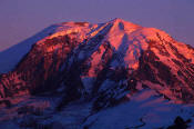 Image of Alpenglow on Mount Rainier