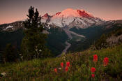 Image of Mount Rainier above Sunrise