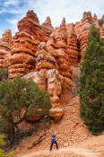 Image of hiker, Red Canyon