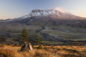 Image of Mount St. Helens from Johnstone Ridge