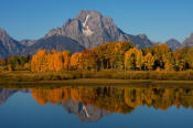 Image of Mount Moran and aspen reflection at Oxbow Bend, Grand Teton National Park