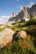 Image of Warrior Peak above flowers in Cirque of the Towers, Wind Rivers