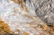 Image of Canary Spring at Mamoth Hot Springs, Yellowstone National Park.
