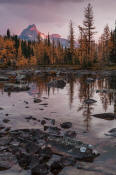 Image of Opabin Fall Reflection, Cathedral Mountain
