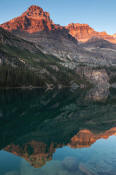Image of Mount Huber reflected in Lake O'Hara, sunset