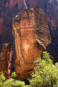 Image of Temple of Sinawava, Zion,National Park, Utah