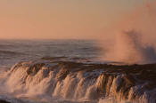 Image of Cape Perpetua, Oregon Coast