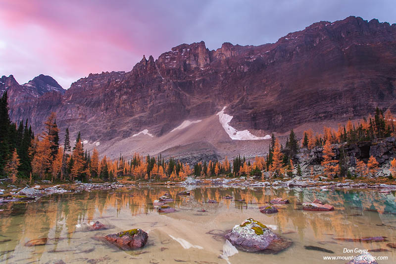 Image of Mount Biddle, reflection, Opabin Plateau, fall