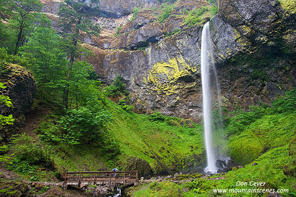 Image of Elowah Falls