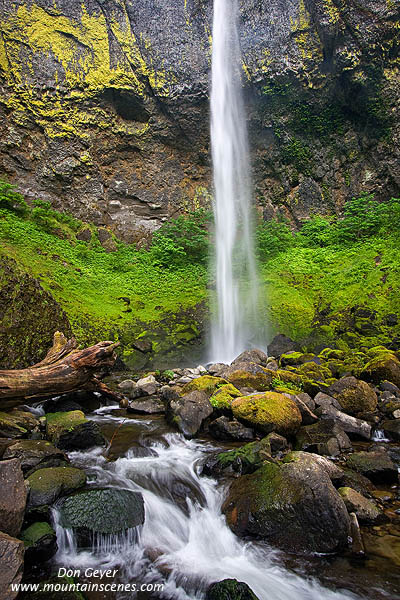 Image of Elowah Falls