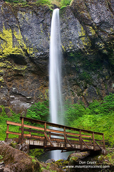 Image of Elowah Falls