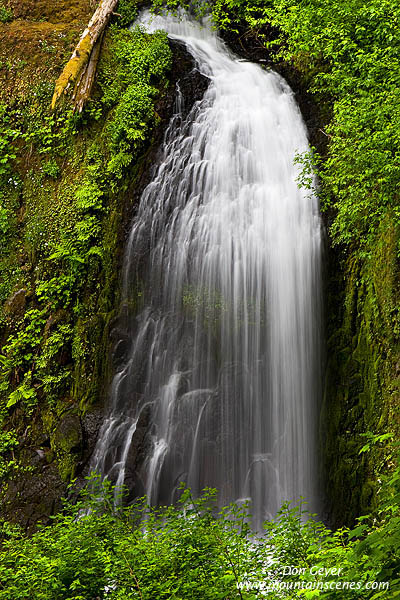 Image of McCloud Falls