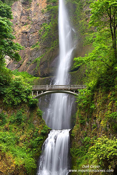 Image of Multnomah Falls