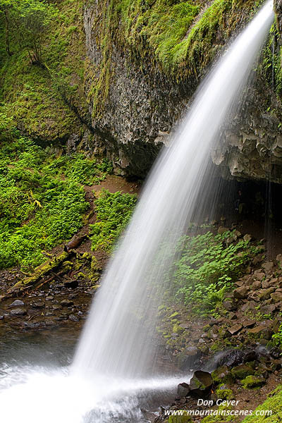 Image of Ponytail Falls