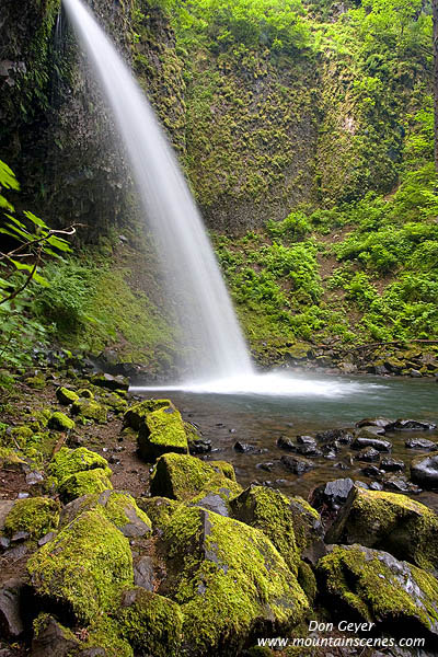 Image of Ponytail Falls