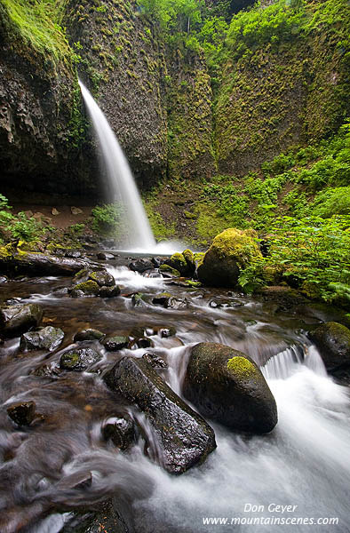 Image of Ponytail Falls