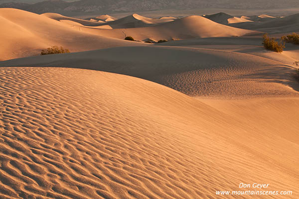 Image of Mesquite Sand Dunes, Stovepipe Wells, Death Valley