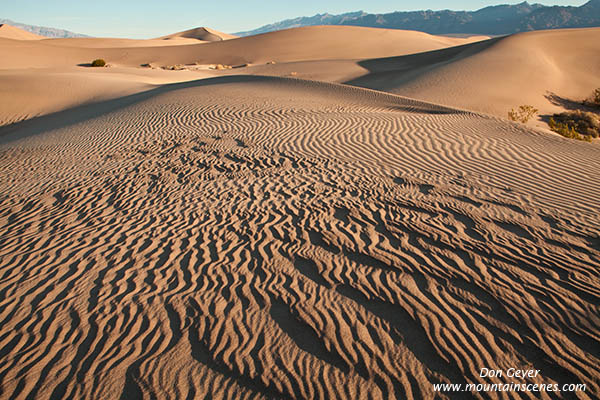 Image of Mesquite Sand Dunes, Stovepipe Wells, Death Valley