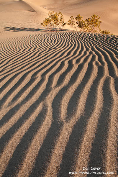 Image of Mesquite Sand Dunes, Stovepipe Wells, Death Valley