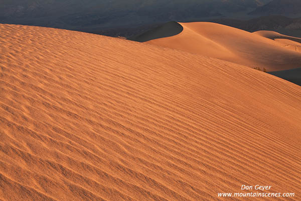 Image of Mesquite Sand Dunes, Stovepipe Wells, Death Valley